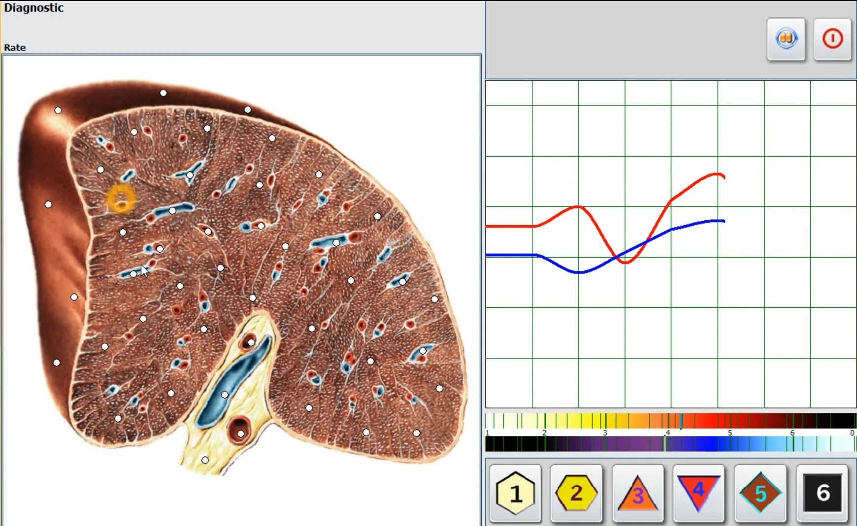 2026 multi-language 25d nls hunter 4025 metatron nls health scan and therapy