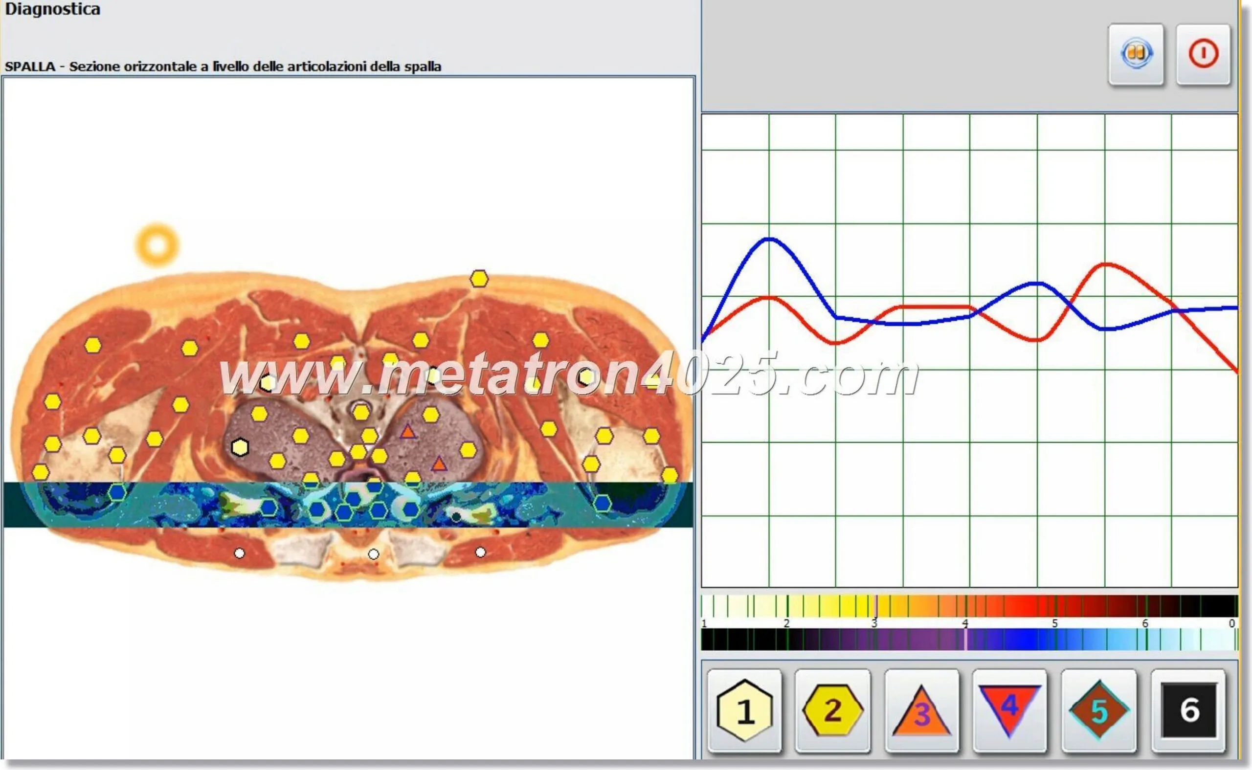 Physiospect Diagnostics NLS Price and Everything You Need to Know 6 Physiospect Diagnostics NLS